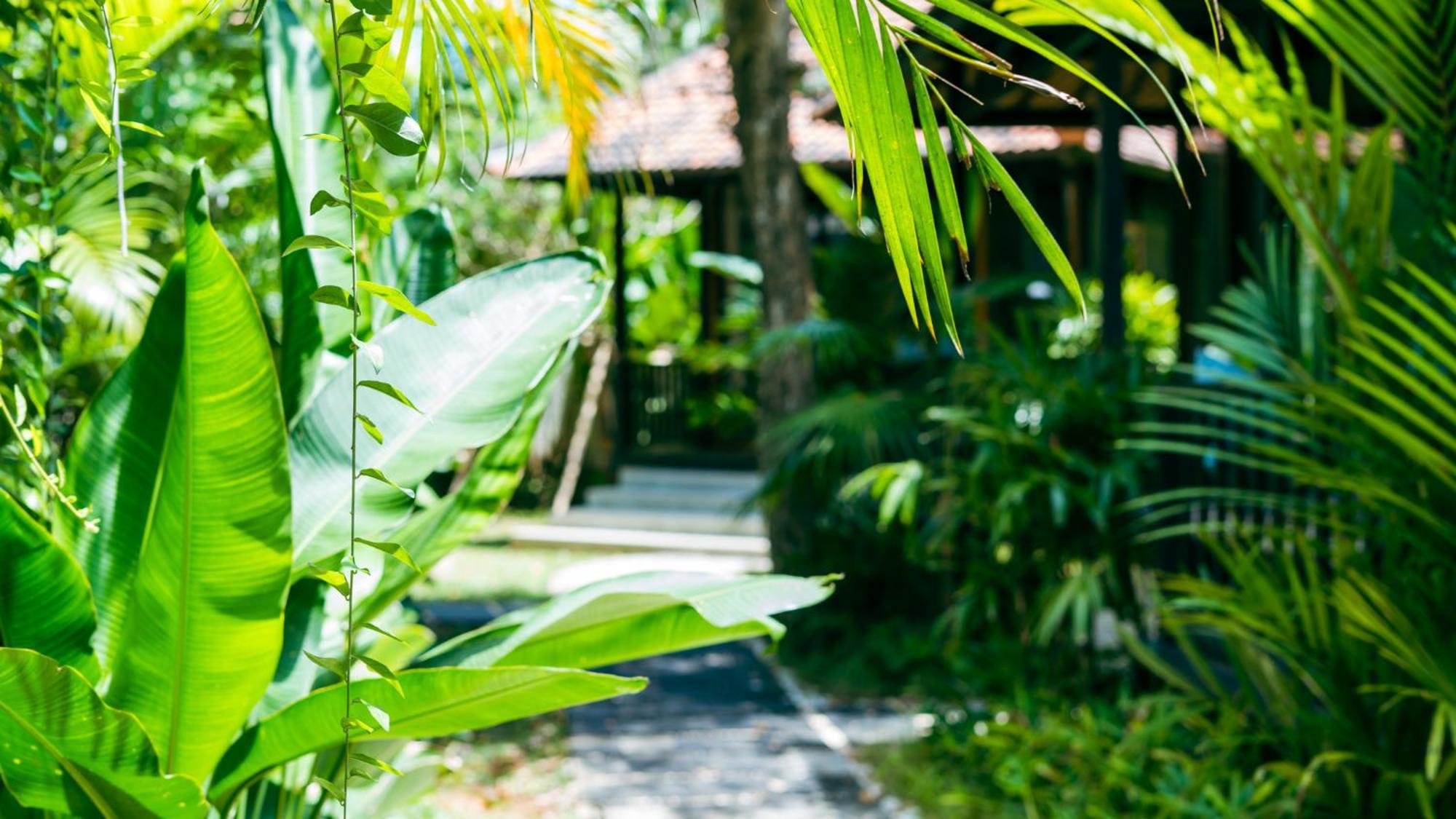 Onaya Bali Resort - Adults Only Uluwatu Kültér fotó